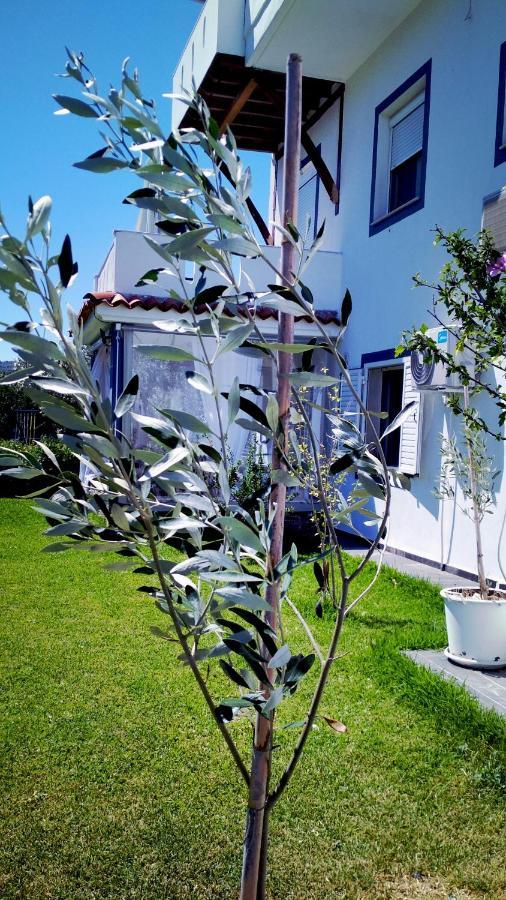 Zephyros Family Apartments 2 Ormos Panagias Dış mekan fotoğraf